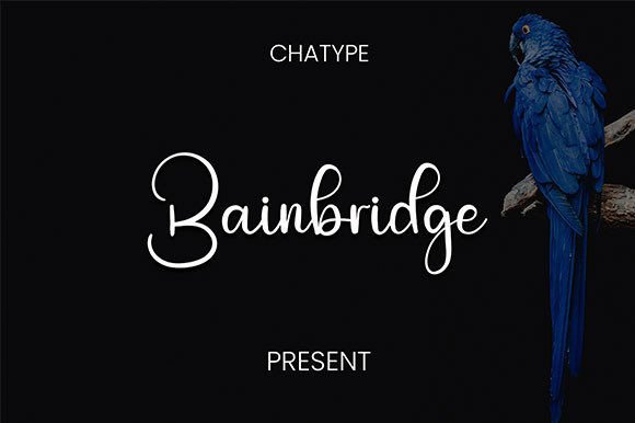 Bainbridge: A Versatile Handwritten Script Font for Marketers