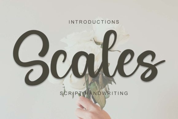 Enhance Your Brand with Scales: A Beautiful Handwritten Font
