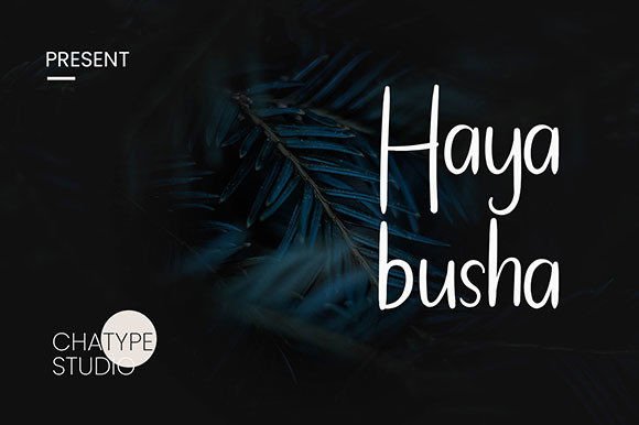 Hayabusha: A Handwritten Font for Professional Branding