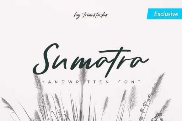 Sumatra: The Handwritten Font for Stunning Campaigns