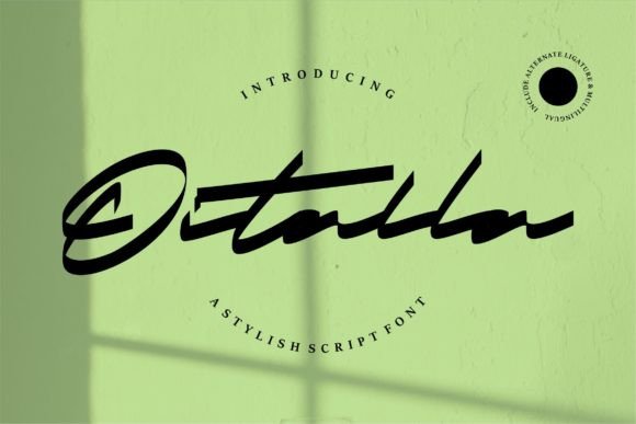Transform Your Brand with Oitalla: A Stylish Handwritten Font